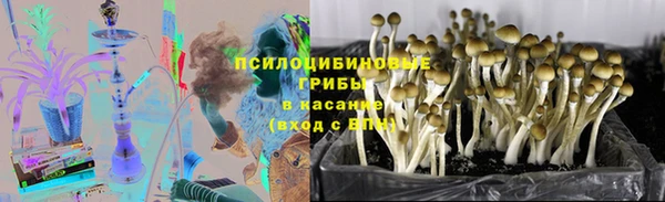 мдпв Балабаново