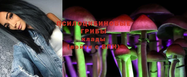 соль ск Балахна