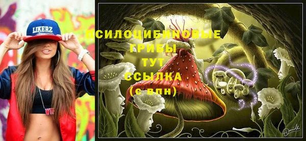 соль ск Балахна