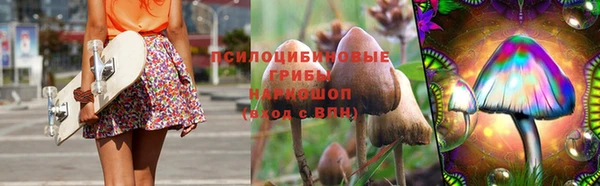 соль ск Балахна