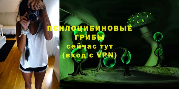 соль ск Балахна