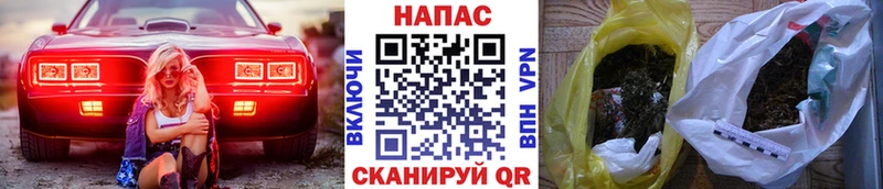 Бошки Шишки семена Богучар